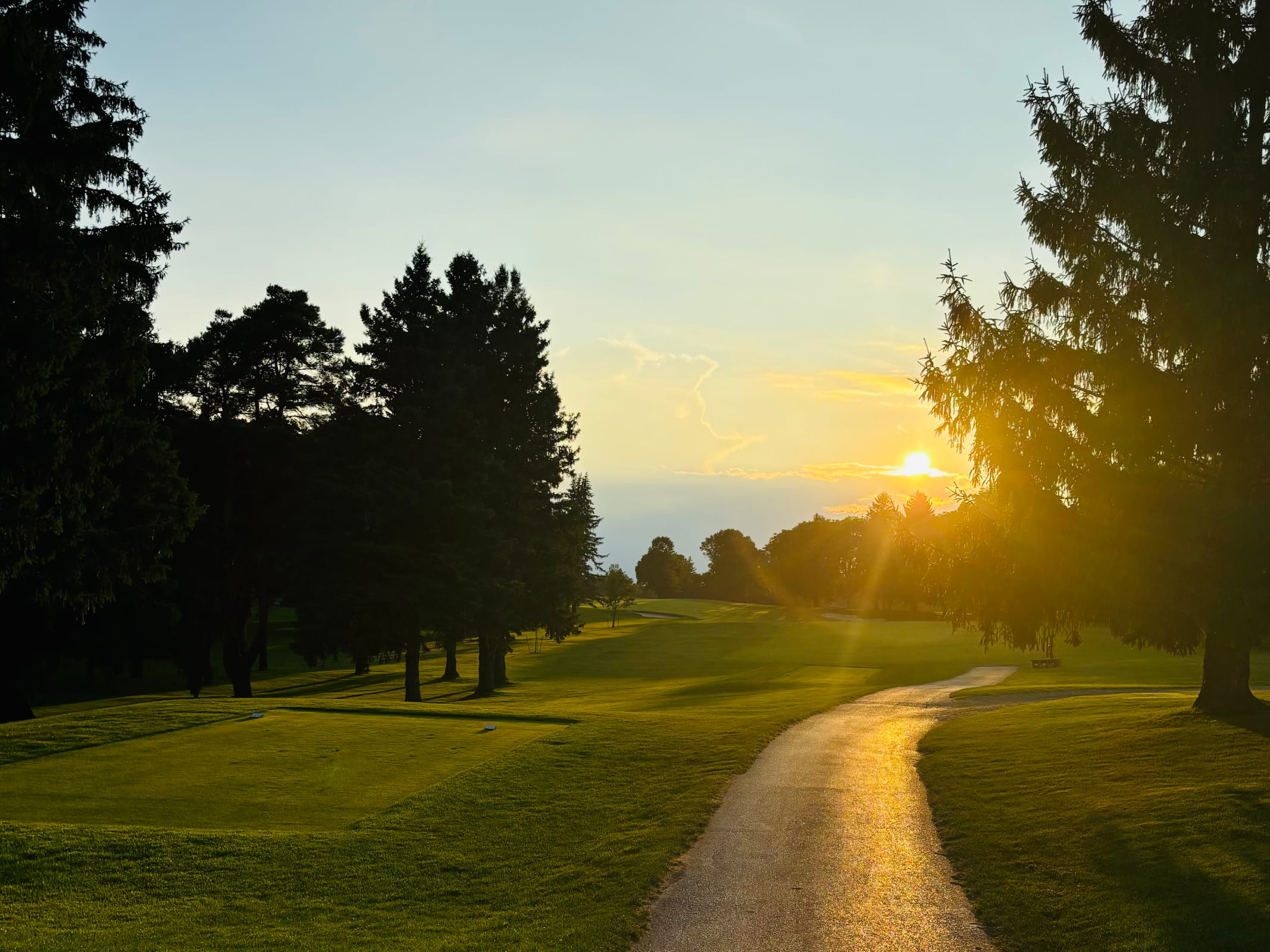 Sales leadership and growth advisory